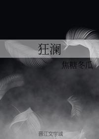 狂澜歌词