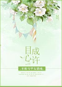 直播我在升级流