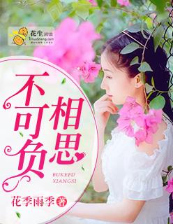 慢来的季节电视剧