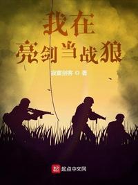 我在亮剑当战狼 第602章