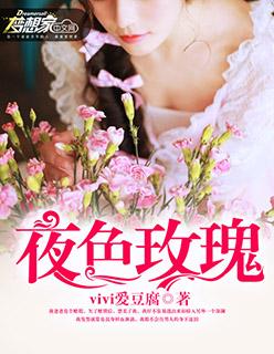 九天神婿林风