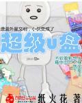 沈若澜慕承舟