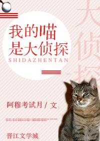 宠妻请入怀全文免费