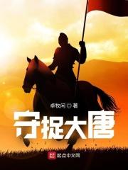 唐朝守捉使权力有多大