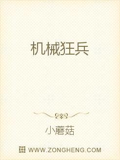 机械狂兵有点乱