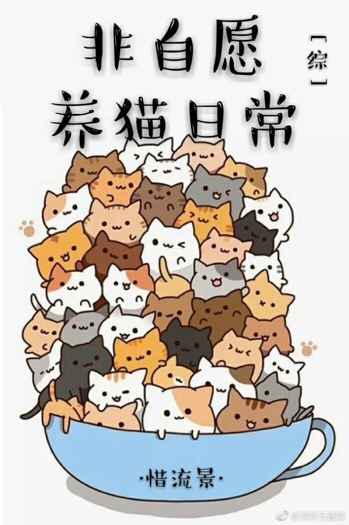 狂神篮球属于什么档次