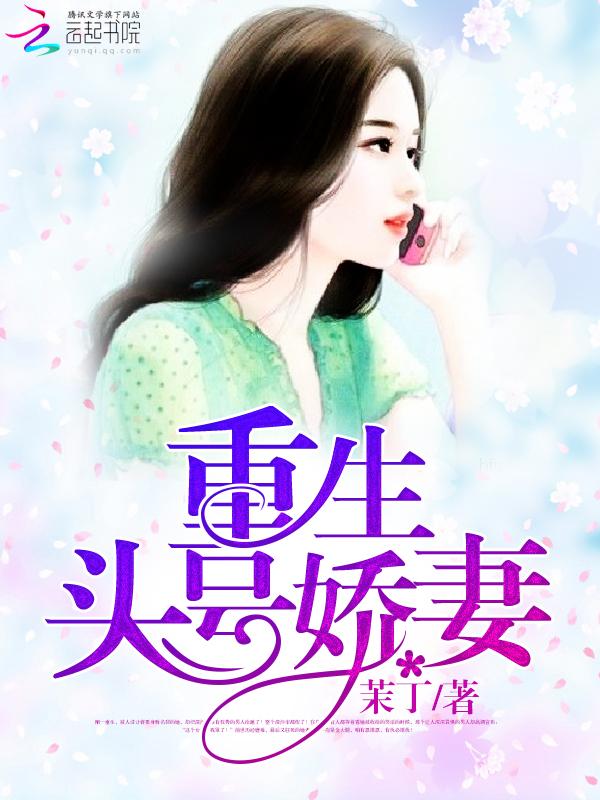 入侵van
