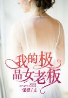 青岚的结局
