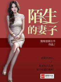 陌生的妻子漫画免费阅读全文最新章节