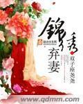 锦绣弃妻之无双王妃全文免费阅读