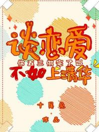 书名谈恋爱不如上清华