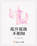 林辛言宗景灏目录