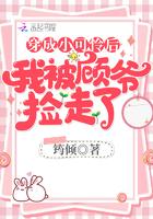 穿成小可怜后我被顾捡走了