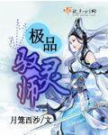 驭灵师的是什么