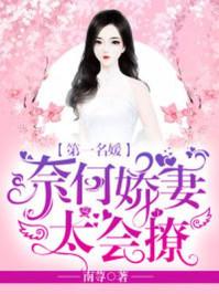 第一名媛奈何娇妻太会撩 南荨 免费