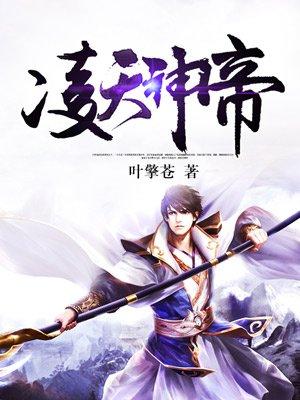 狂婿之战神