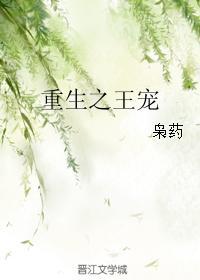 至尊强婿免费版林阳