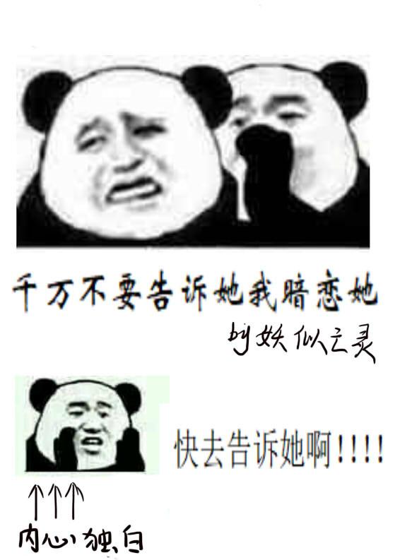 苏尘柳轻烟免费阅读