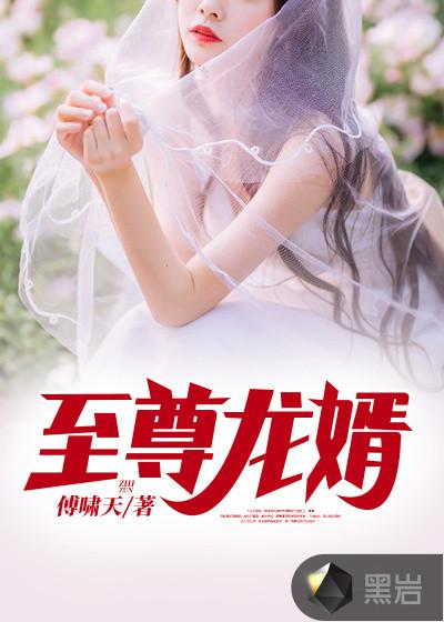 至尊龙婿叶昊