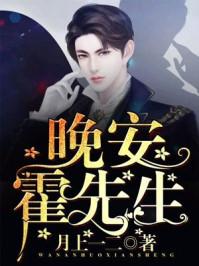 晚安霍先生免费