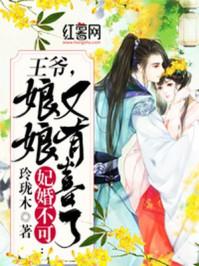 王爷娘娘又跑了免费全文阅读