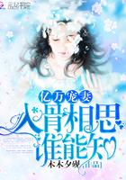 入骨相思谁不