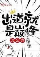 出道便是巅峰