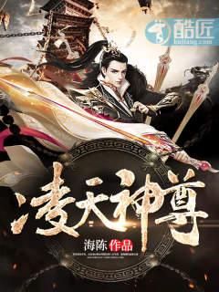 叶辰的是什么