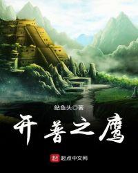 开普之鹰重生南非当警察