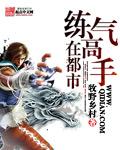 练气高手在都市无风