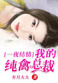 一夜纯情是什么