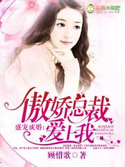傲娇总裁盛宠妻苏影