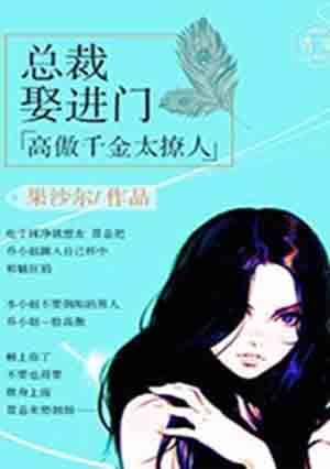 高冷总裁傲娇妻