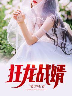 狂龙战婿 苏晴