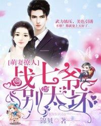 乔慕慕战弈辰的书名