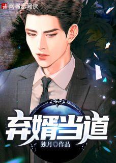 弃婿当道TXT