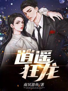 逍遥狂龙杨晓芬最新章节列表与评价