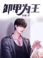 卸甲完整版