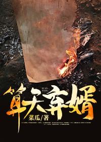 算天免费阅读全文