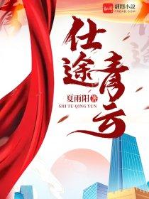 仕途青云王青山何敏