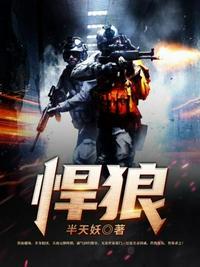 悍狼免费阅读