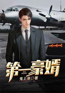龙王婿 最新