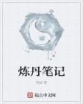 练丹笔记免费阅读