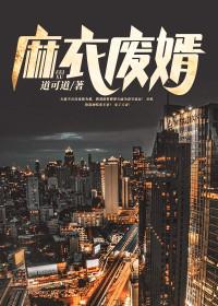 麻衣废婿女主有几个