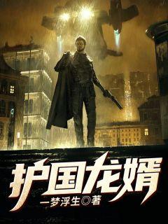 护国龙婿全集免费观看