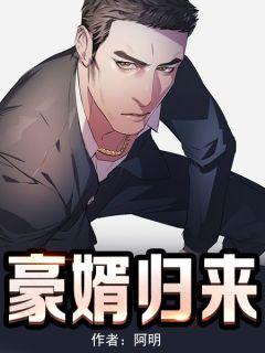 豪婿归乡一口气看完