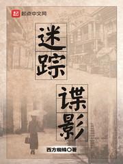 迷踪谍影剧情介绍
