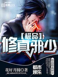 极品修真邪少等级划分