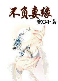 不负妻缘 雾矢翊百度