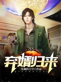 一世豪婿 1